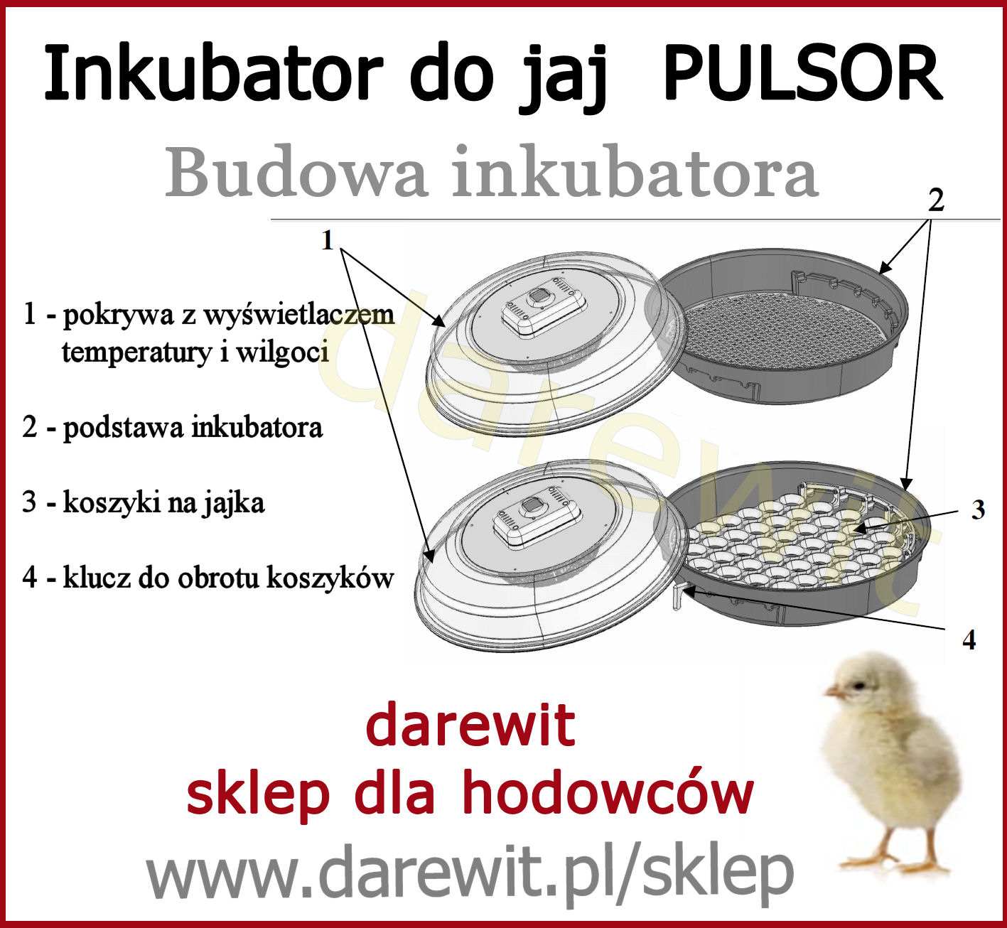 budowa inkubatora jaj Pulsor - darewit Warszawa